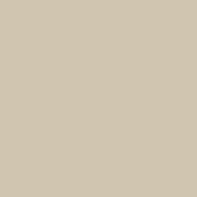 G021 Gesso