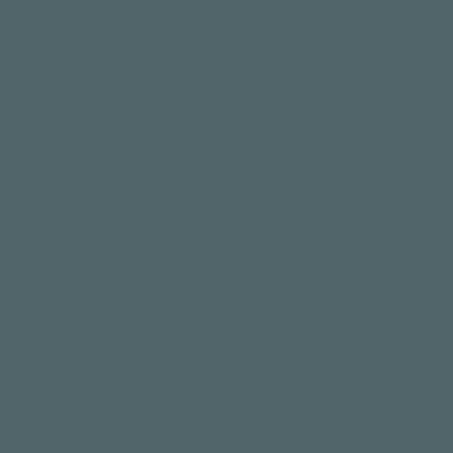L017 Blaugrau