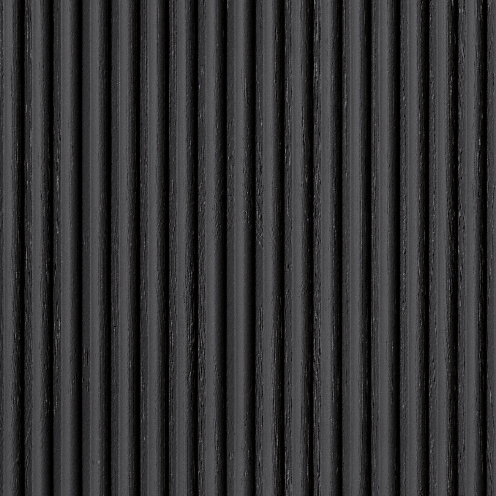 194X Frassino Nero