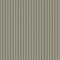 N060 Grigio Sasso gerillt