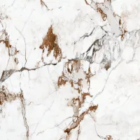 GR55 Breccia Capraia Hochglanz